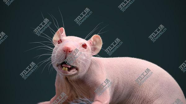 images/goods_img/20210312/Rat Fur Animated 2 model/5.jpg